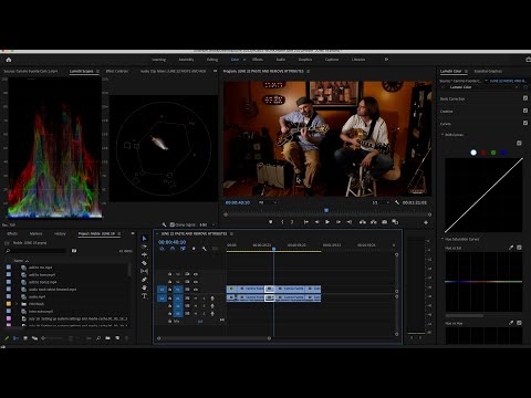 Premiere Pro Tutorial - Paste and Remove Attributes