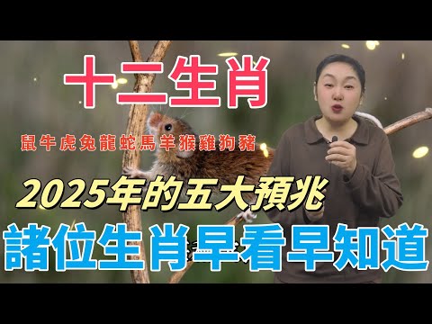 12生肖（鼠 牛 虎 兔 龍 蛇 馬 羊 猴 雞 狗 豬）2025年的五大預兆！諸位生肖早看早知道！#風水 #運勢 #熱門 #分享 #佛教 #命理