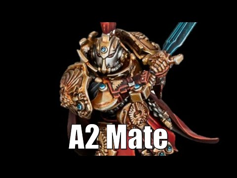 Warhammer 40k Meme Dub: The Necromunda Enforcers Met An Adeptus Custodes Blade Champion