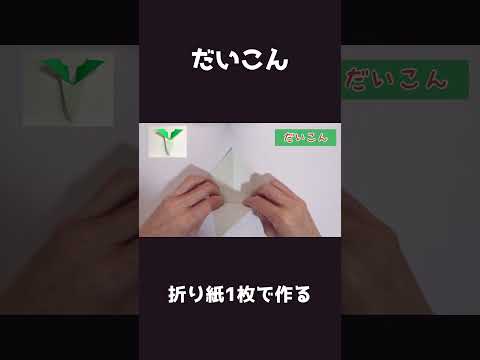 だいこん作り方　Radish