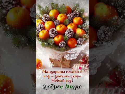 Доброе утро, Друзья! Мандаринового Вам настроения!