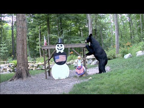 EarthCam Live: Snowman Cam - Animals and Wildlife (Gaylord, Michigan)