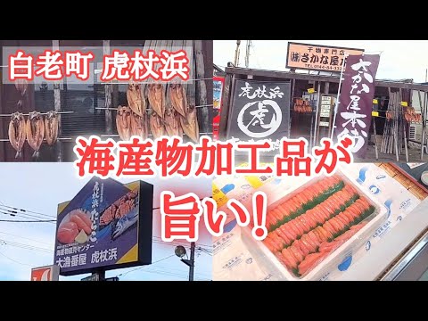 【北海道】白老町虎杖浜でたらこ詰め放題🤩オススメの干物屋さん発見🐟️