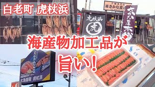 【北海道】白老町虎杖浜でたらこ詰め放題🤩オススメの干物屋さん発見🐟️