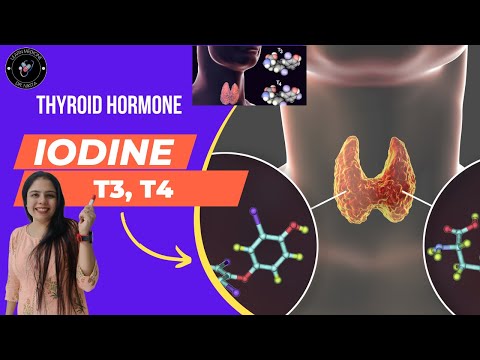 Thyroid Gland Physiology, Iodine Trapping, Thyroxine,T4, TSH, TRH and Endocrinology  by Dr. Nikita