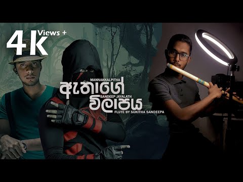 Athage Wilapaya (ගජිදානෝ තේජ ලීලා) Flute Cover #shorts