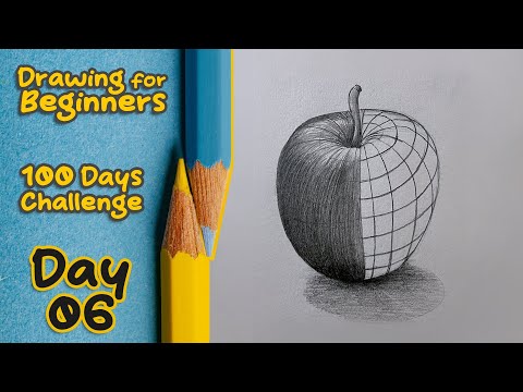 Drawing Basics to Realistic - Day 6 || Tonal Shading || 100 Days Drawing #sketchboookbyabhishek