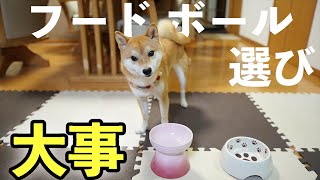 愛犬のフードボウルを2年ぶりに買い換える。ハイスタンドタイプの方がいいかも