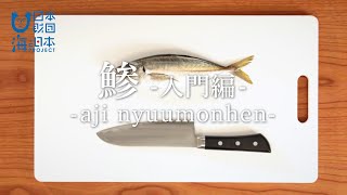 鯵（あじ）のさばき方 [入門編]- How to fillet Horse Mackerel [introductory chapter] -｜日本さばけるプロジェクト（海と日本プロジェクト）