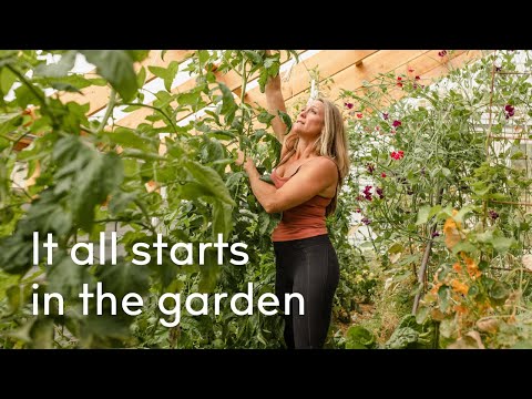 How to Accidentally Start a Permaculture Revolution From Your Front Yard