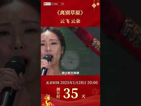 #云飞 #云朵 深情对唱《离别草原》每一句都是对草原的眷恋 | CCTV春晚