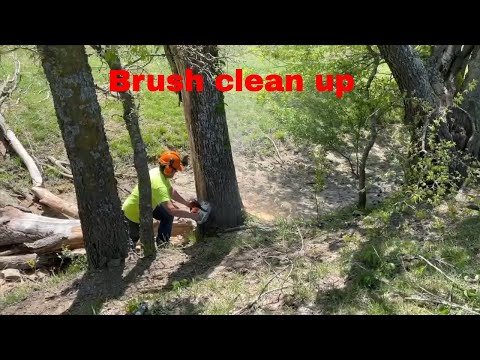 WATCH OUT‼️☠️( Cleaning up brush, changing oil, and baling hay)