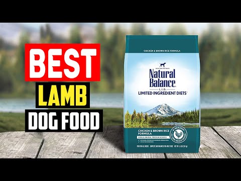 ✅Top 5 Best Lamb Dog Food You Can Buy In 2023