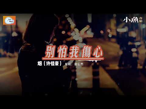 别怕我伤心 - 烟（许佳豪）| 原唱 - 张信哲 | 在小鱼听好歌 | Fish Music | 动态歌词/Lyrics