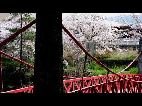 赤橋のある風景