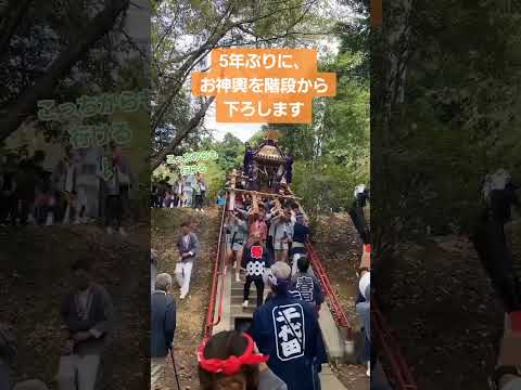 台風、コロナと重なってずっと出来なかった神輿渡御。今年は5年ぶりにお神輿が神社境内を出て故郷を巡りました‼️ #japaneseculture #matsuri #祭 #神輿 #横浜