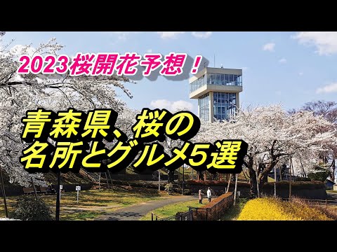 2023桜開花予想！青森県、桜の名所とグルメなお店５選