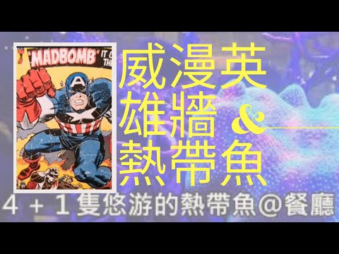 【亞瑟導師/愛點亮】之全球華人全方位療心系列十九：實拍威漫英雄牆及海藍熱帶魚篇