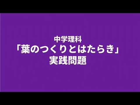 【中1理科】葉のつくりとはたらきの実践問題