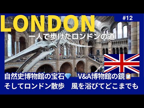 【イギリス ロンドン】自然史博物館Natural History Museum/ヴィクトリア＆アルバート博物館Victoria&Al bert Museum/ロンドン散歩