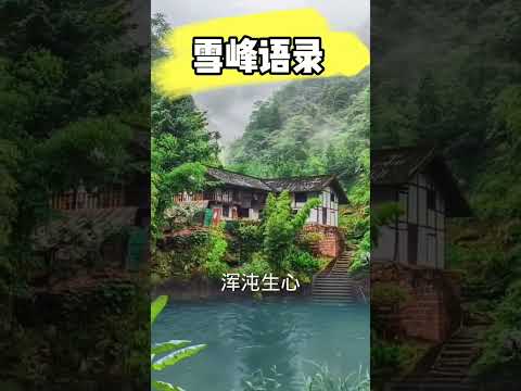 【雪峰语录】导游在前，别有洞天，扬捧细沙，绿树千万，浑沌生心，奥妙无穷。#第二家园 #雪峰#F币#天国银行