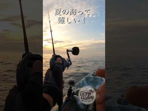 夏の釣りって難しい、、コツがあった？タイラバで夏のヒラメを狙う！