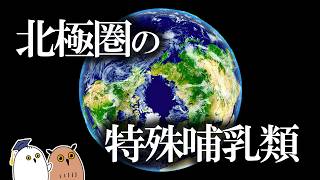 【ゆっくり解説】北極に生きるトナカイの進化 | クリスマス企画【 進化論 / 科学 】