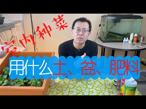 室内种菜用什么土？室内种菜用什么盆？室内种菜用什么肥料？