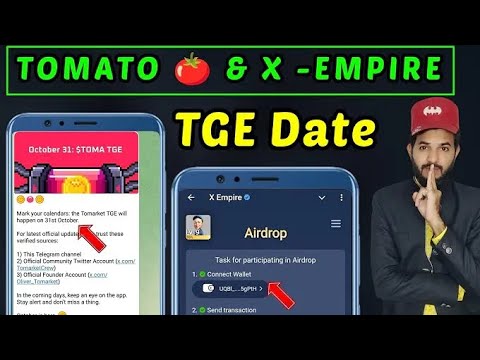 Tomarket TGE & X empire TGE |Tomato 🍅 X empire Airdrops & Token generated event listing date October