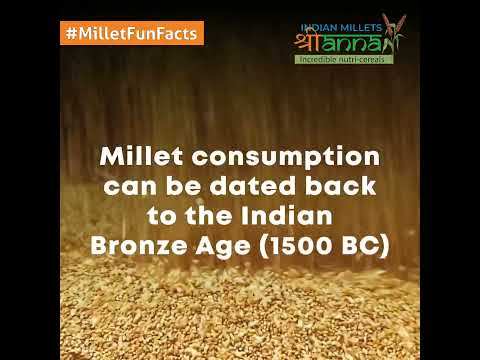 Ancient grains with a modern twist | Indian Millets