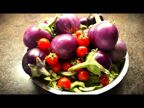 Homegrown Veg | Aubergine | Surti Papdi | Tomatoes | Calabash | Capsicum | in our Garden this Summer