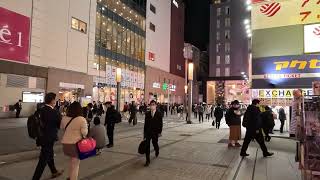 Akihabara: Tokyo's Electric Town