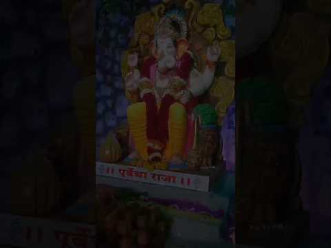 माझा आनंद हरपला | गणपती विसर्जन | ganesh visarjan 2024 | Raj Sarang Vlogs