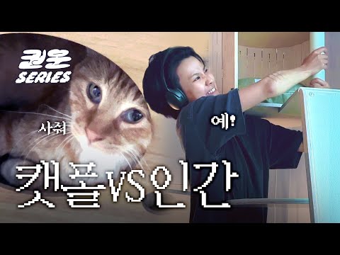 캣폴 설치하는 고양이 집 초보집사 | 작업방도 니 방 큰 방도 니 방  [나의 집 꾸미기 ep.5]