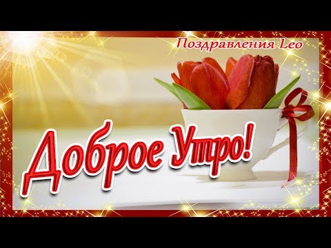 Доброе Утро! Чудесного настроения! Тюльпаны для души!