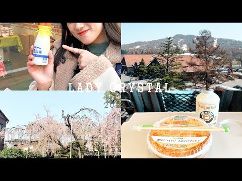 Japan Travel Vlog｜Take the Shinkansen to Karuizawa! ／Super easy to visit Karuizawa Prince Outlet❄️🚅👜