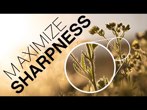 More Reasons Your Photos Aren't Sharp!