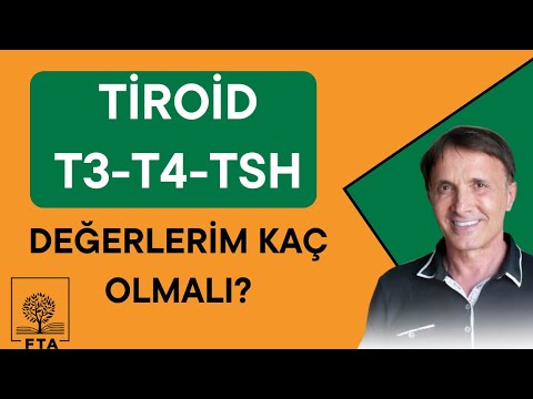 Hashimoto için aldığım tiroid hapından yeterince faydalanmıyor olabilir miyim?