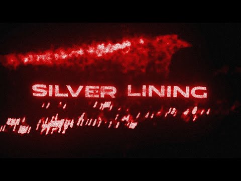 Lizdek - Silver Lining