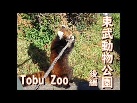 動物園を見すぎてあまり乗り物に乗れなかった東武動物公園！後編！