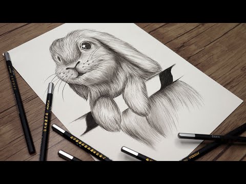 How to Draw a Rabbit Step by Step | Animals Drawing | Pencil Sketch tutorial