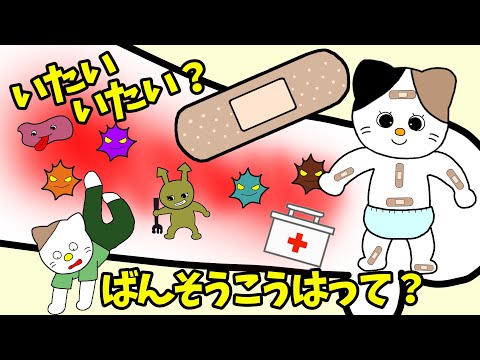 【アニメ 絵本読み聞かせ】絆創膏の隠れた効果？〜痛い痛い？絆創膏貼って？〜