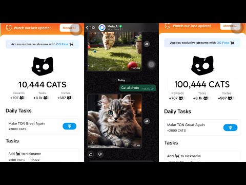 How to generate cat images to earn additional points on the CATS mini Game