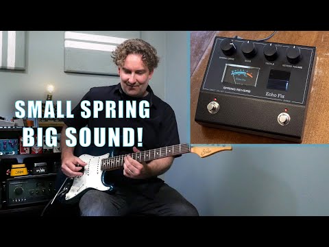 Echo Fix EF-P2 Spring Reverb in a Pedal