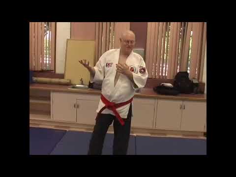 Budoshin Jujitsu: Summer Camp 2006 pt2