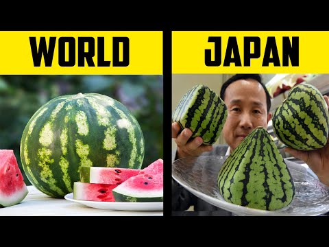 20 Amazing Facts about Japan in Hindi | Japan Information in Hindi 2024