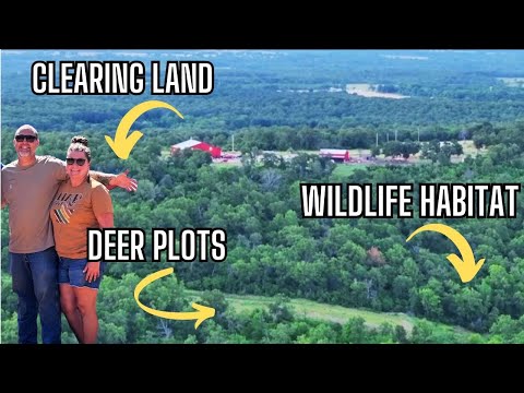 Managing Wooded Acreage: Deer Food Plots, Wildlife Habitat, and Land Prep for Hunting & Farming