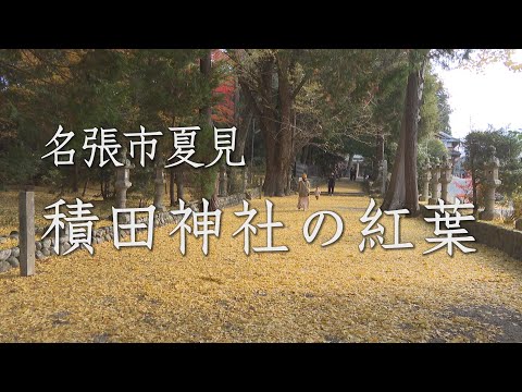 ＃16　紅葉スポットとしても人気　積田神社の紅葉