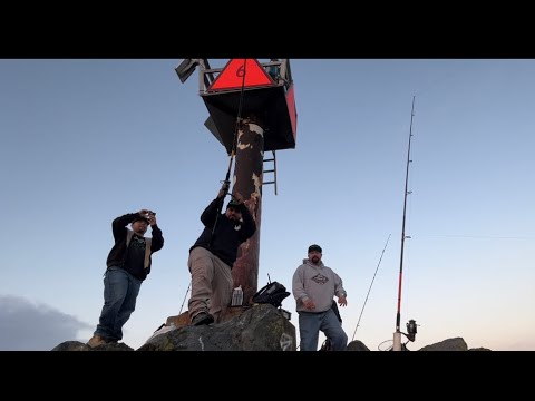 Fishing Treasure Island Jetty. #rockfish #jettyfishing #california #bayarea #fishing #new #video