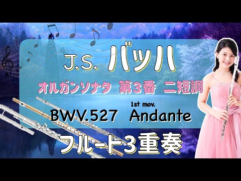 【フルート3重奏】バッハ：オルガンソナタBWV527 二短調よりAndante [ 3 flutes ] Organ Sonata No.3 in D minor, BWV 527 (Bach)